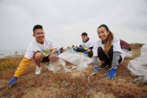 MOBS 2019 - LAX Dunes